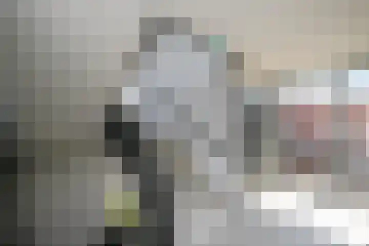 't Ingse Hof 55 Bergambacht thumbnail 7