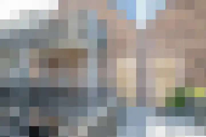 't Ingse Hof 55 Bergambacht thumbnail 8