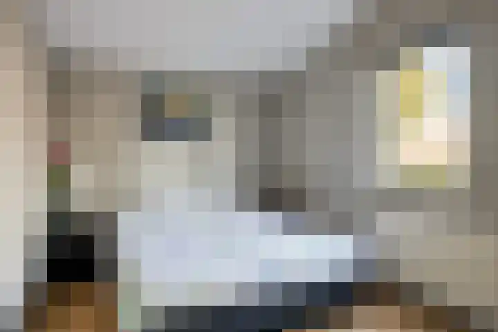 't Inne 32 c Budel thumbnail 10