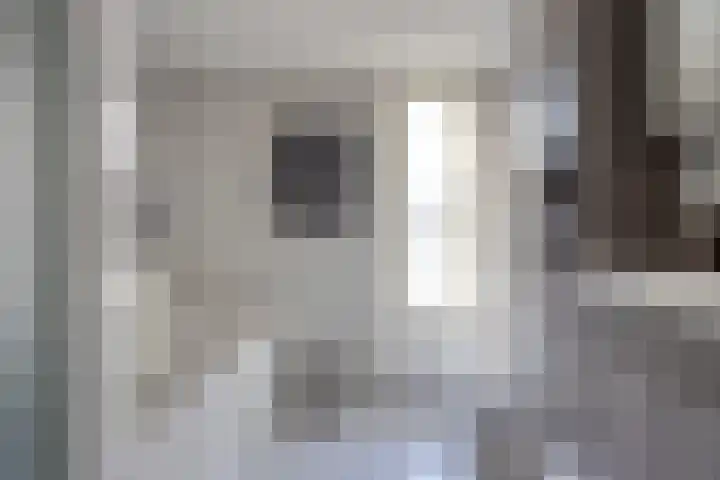 't Inne 32 c Budel thumbnail 11