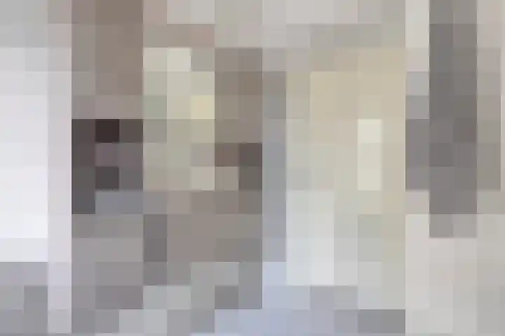 't Inne 32 c Budel thumbnail 12