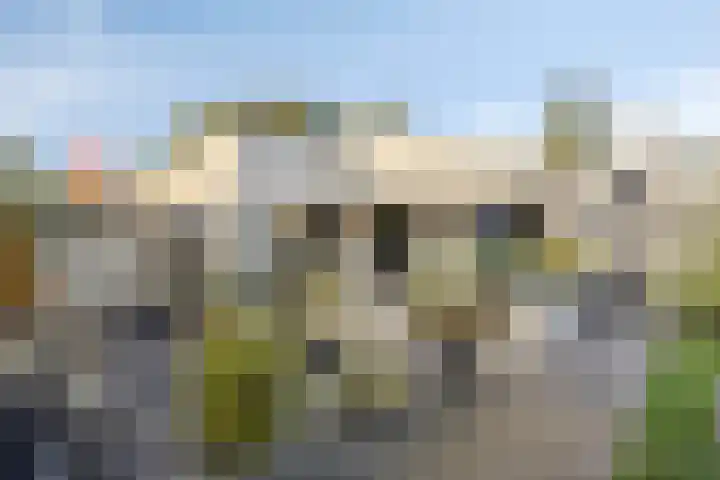 't Inne 32 c Budel thumbnail 14