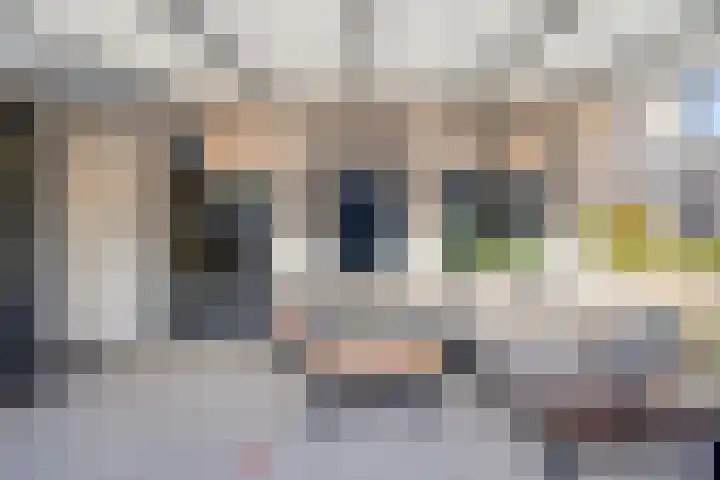 't Inne 32 c Budel thumbnail 15