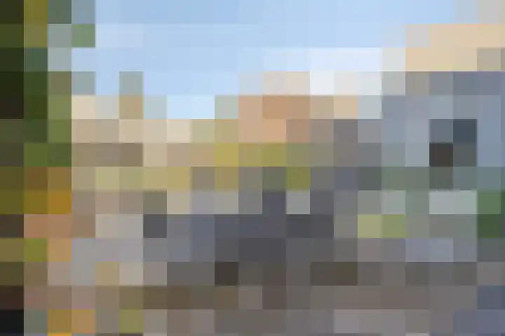 't Inne 32 c Budel thumbnail 16
