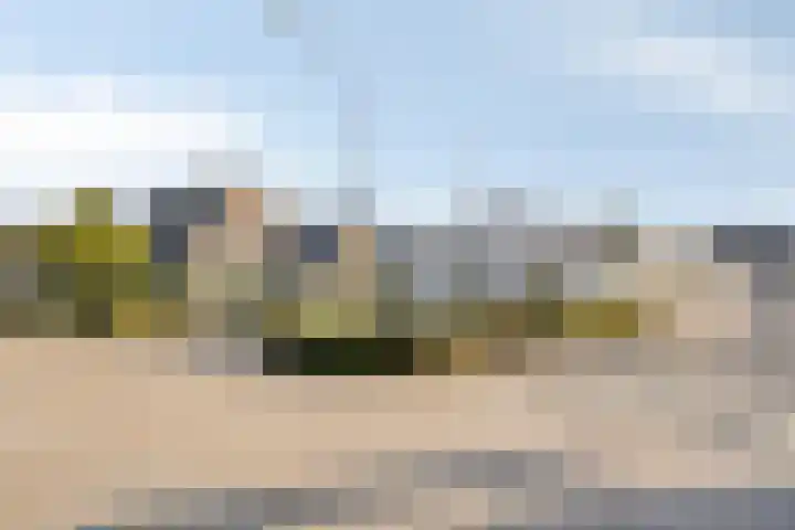 't Inne 32 c Budel thumbnail 17