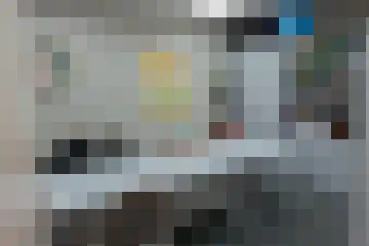 't Inne 32 c Budel thumbnail 24