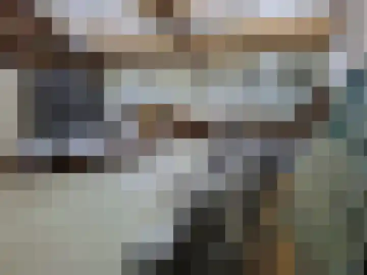 't Inne 32 c Budel thumbnail 26