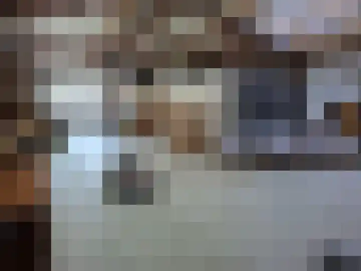 't Inne 32 c Budel thumbnail 28