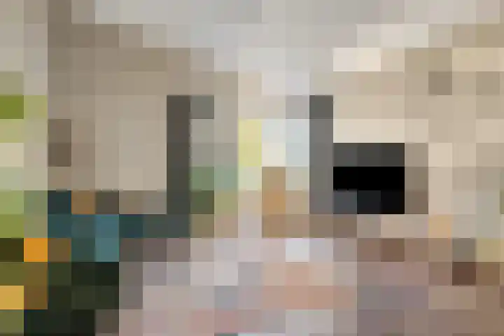 't Inne 32 c Budel foto 3