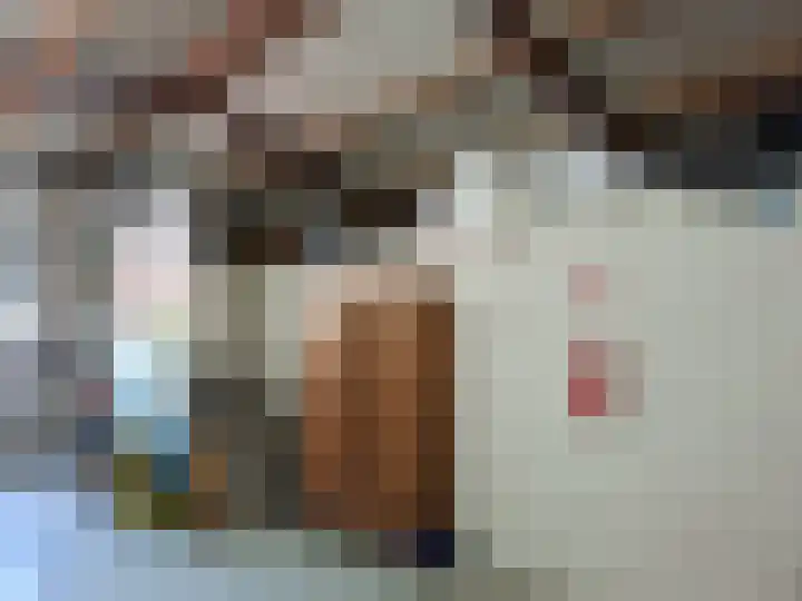 't Inne 32 c Budel thumbnail 31