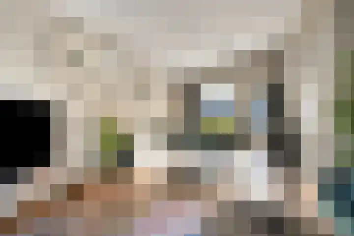 't Inne 32 c Budel thumbnail 4