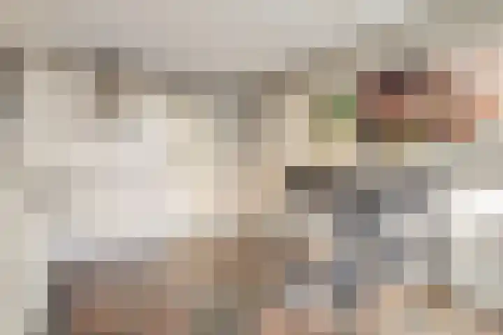't Inne 32 c Budel thumbnail 6