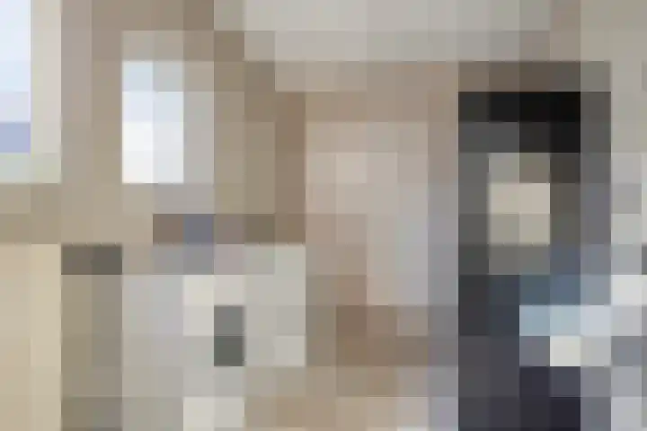 't Inne 32 c Budel thumbnail 7