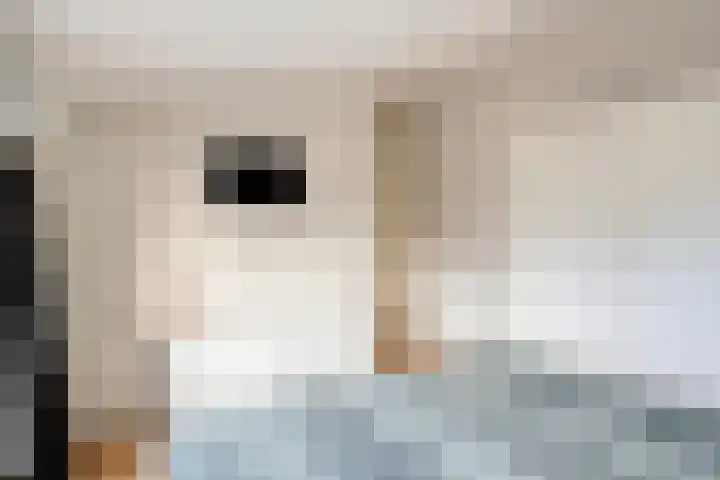 't Inne 32 c Budel thumbnail 9
