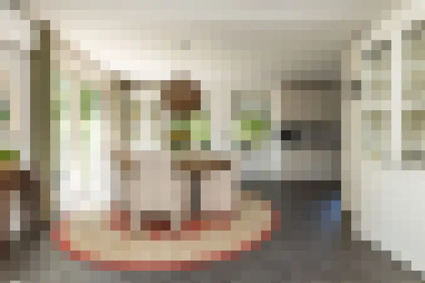 't Jaagpad 14 Veeningen thumbnail 12