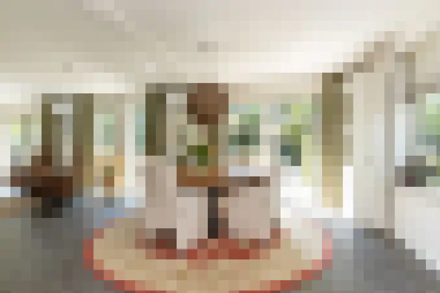 't Jaagpad 14 Veeningen thumbnail 13