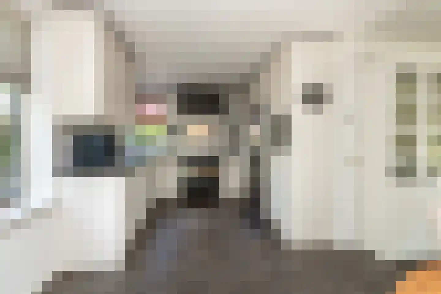 't Jaagpad 14 Veeningen thumbnail 14