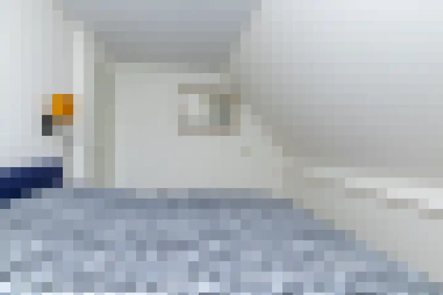 't Jaagpad 14 Veeningen thumbnail 37