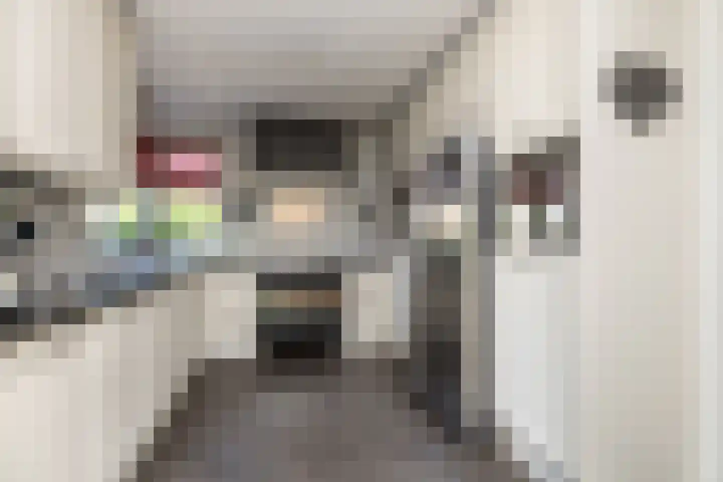 't Jaagpad 14 Veeningen thumbnail 4