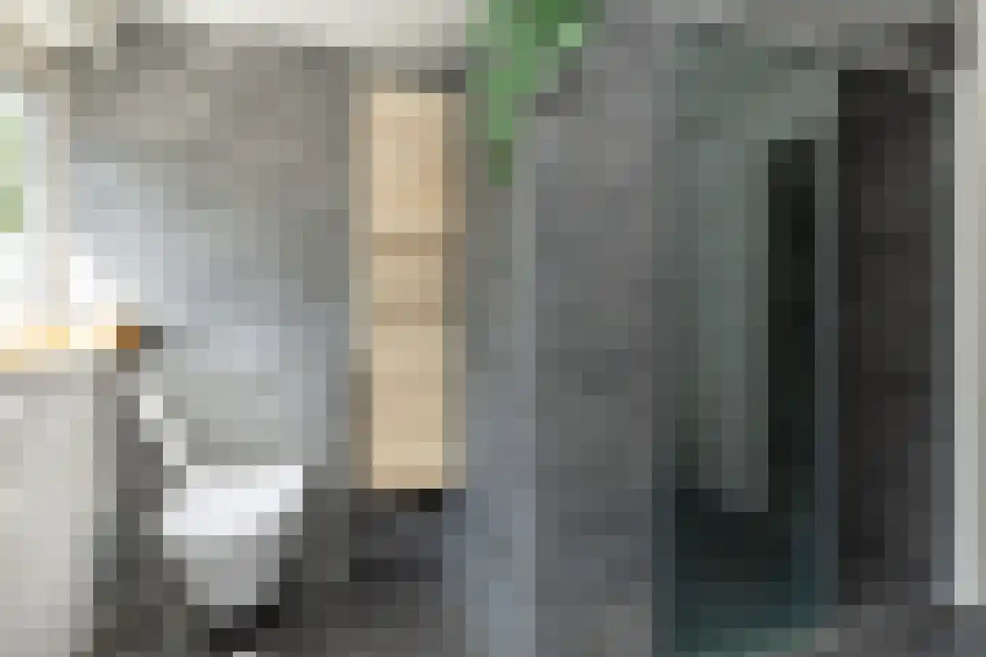 't Jaagpad 14 Veeningen thumbnail 42