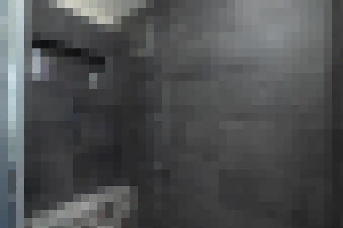 't Jaagpad 14 Veeningen thumbnail 43