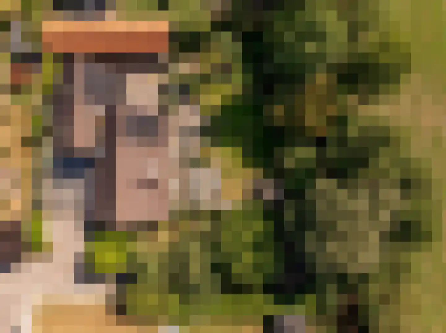 't Jaagpad 14 Veeningen thumbnail 45