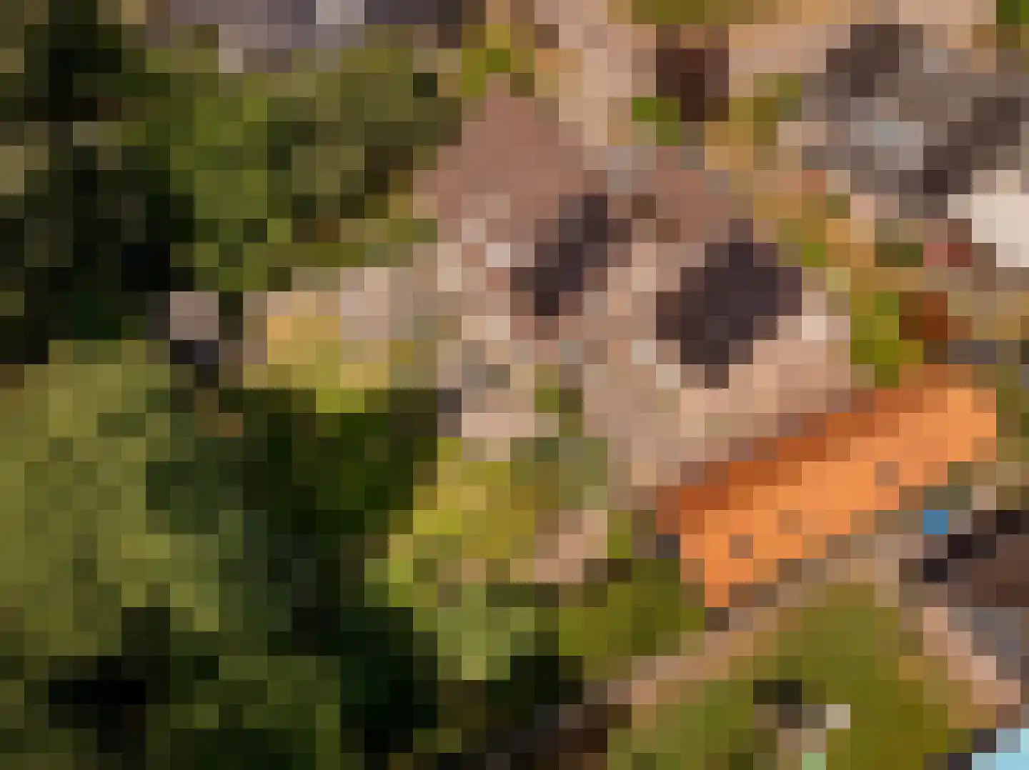 't Jaagpad 14 Veeningen thumbnail 46