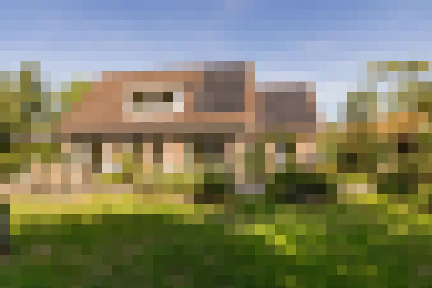 't Jaagpad 14 Veeningen thumbnail 47