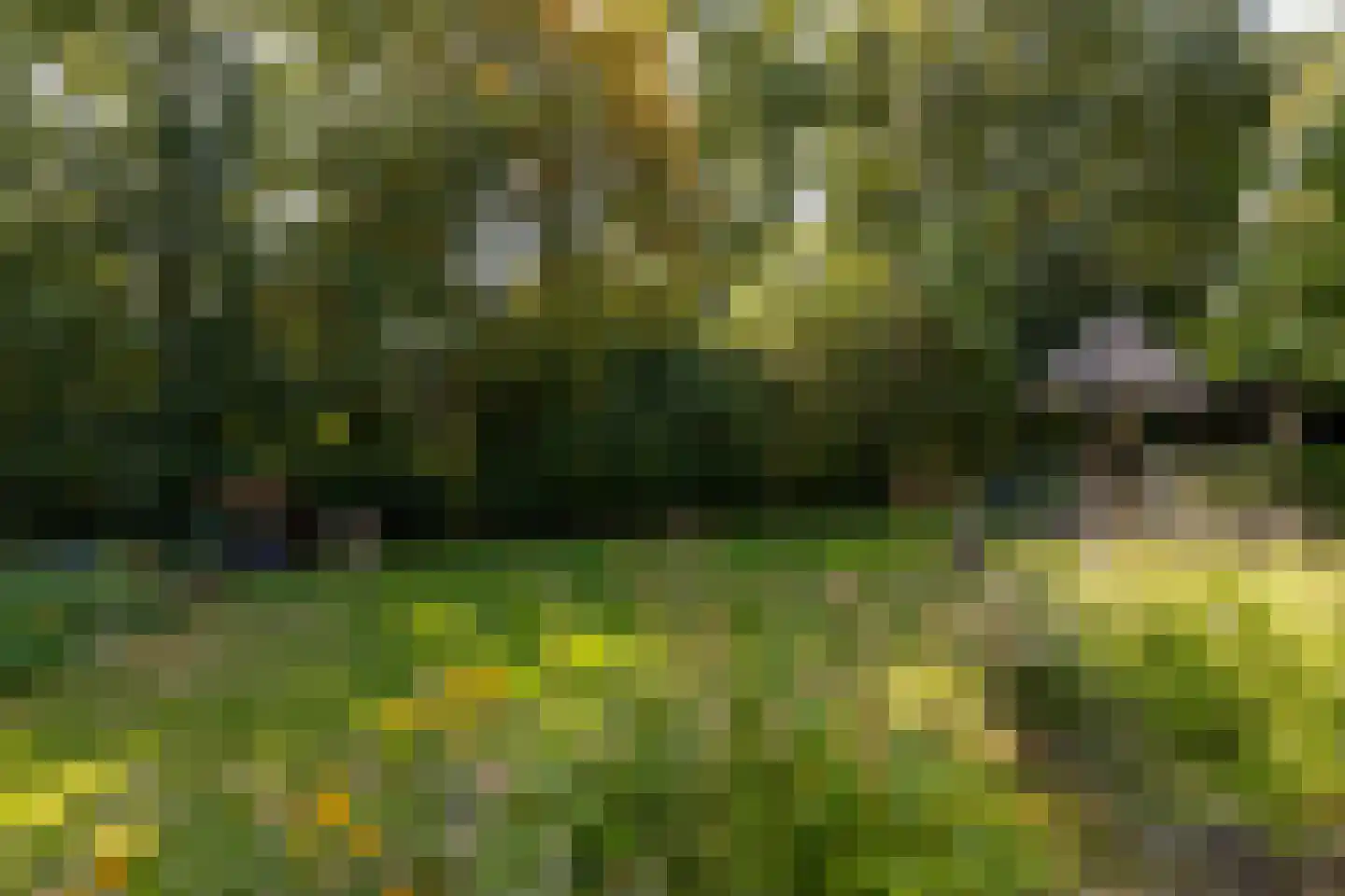 't Jaagpad 14 Veeningen thumbnail 48