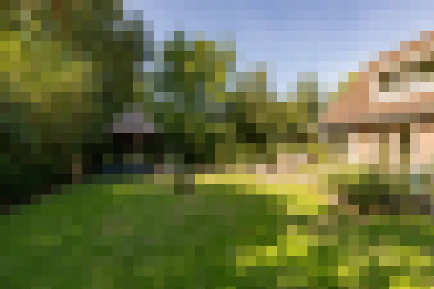 't Jaagpad 14 Veeningen thumbnail 49