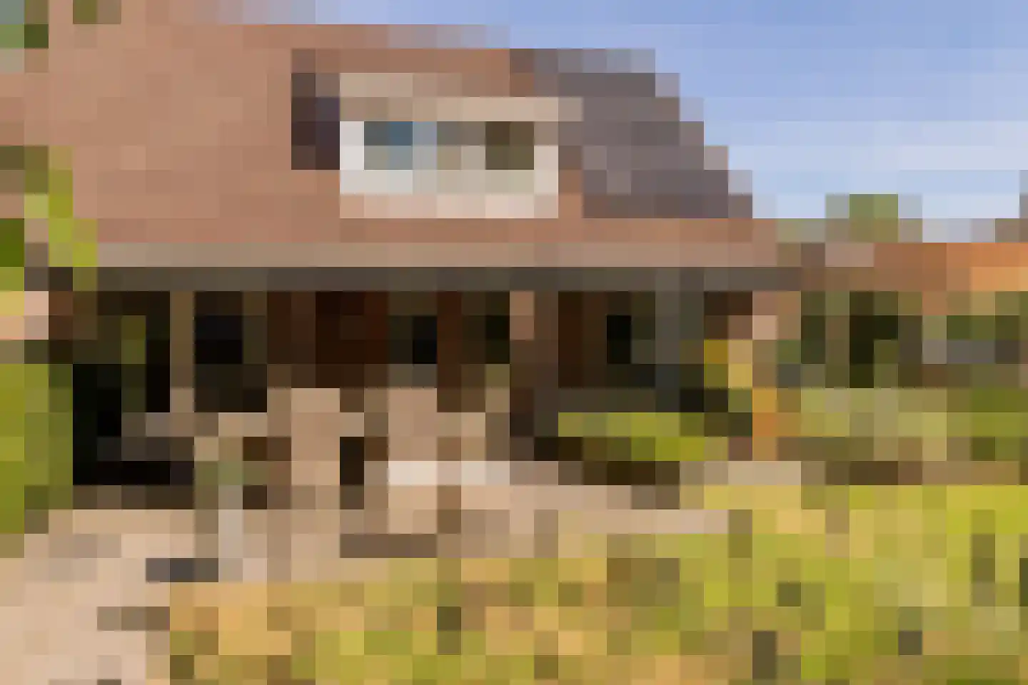 't Jaagpad 14 Veeningen thumbnail 5