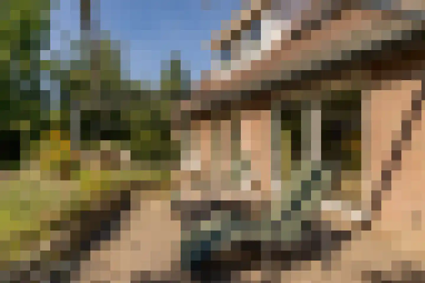 't Jaagpad 14 Veeningen thumbnail 50