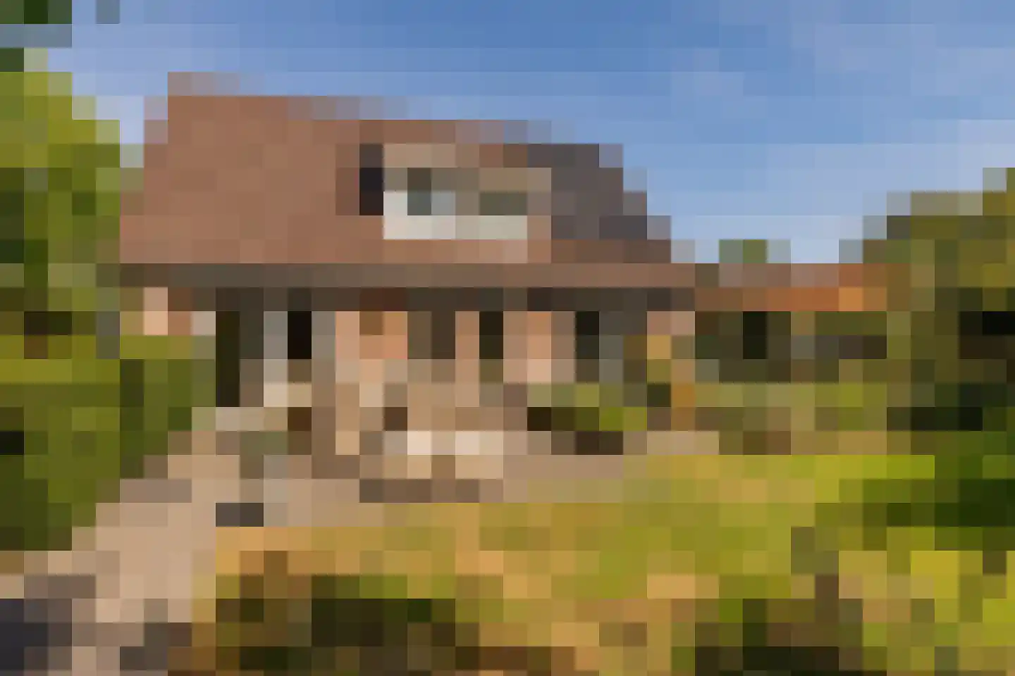 't Jaagpad 14 Veeningen thumbnail 51
