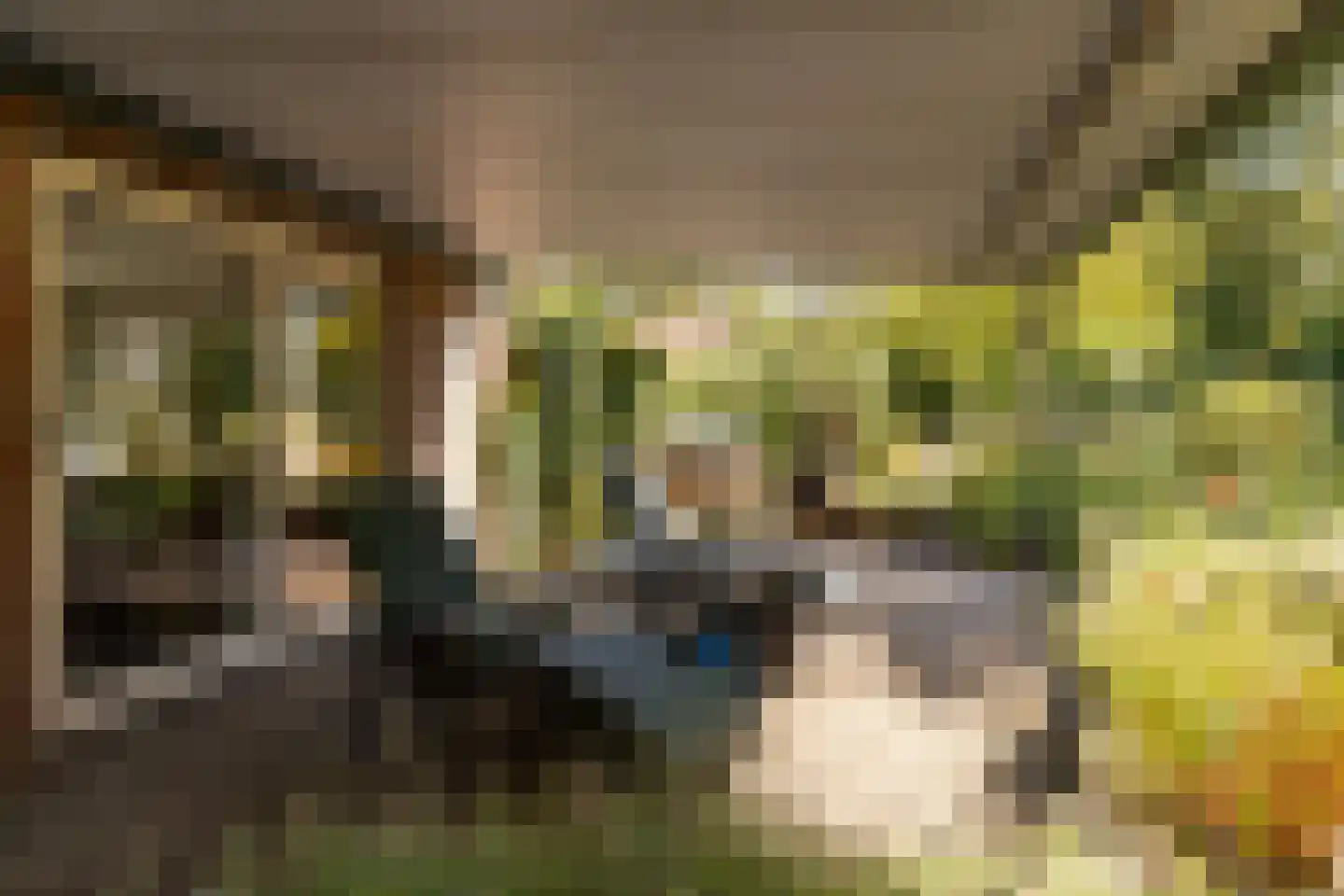 't Jaagpad 14 Veeningen thumbnail 53