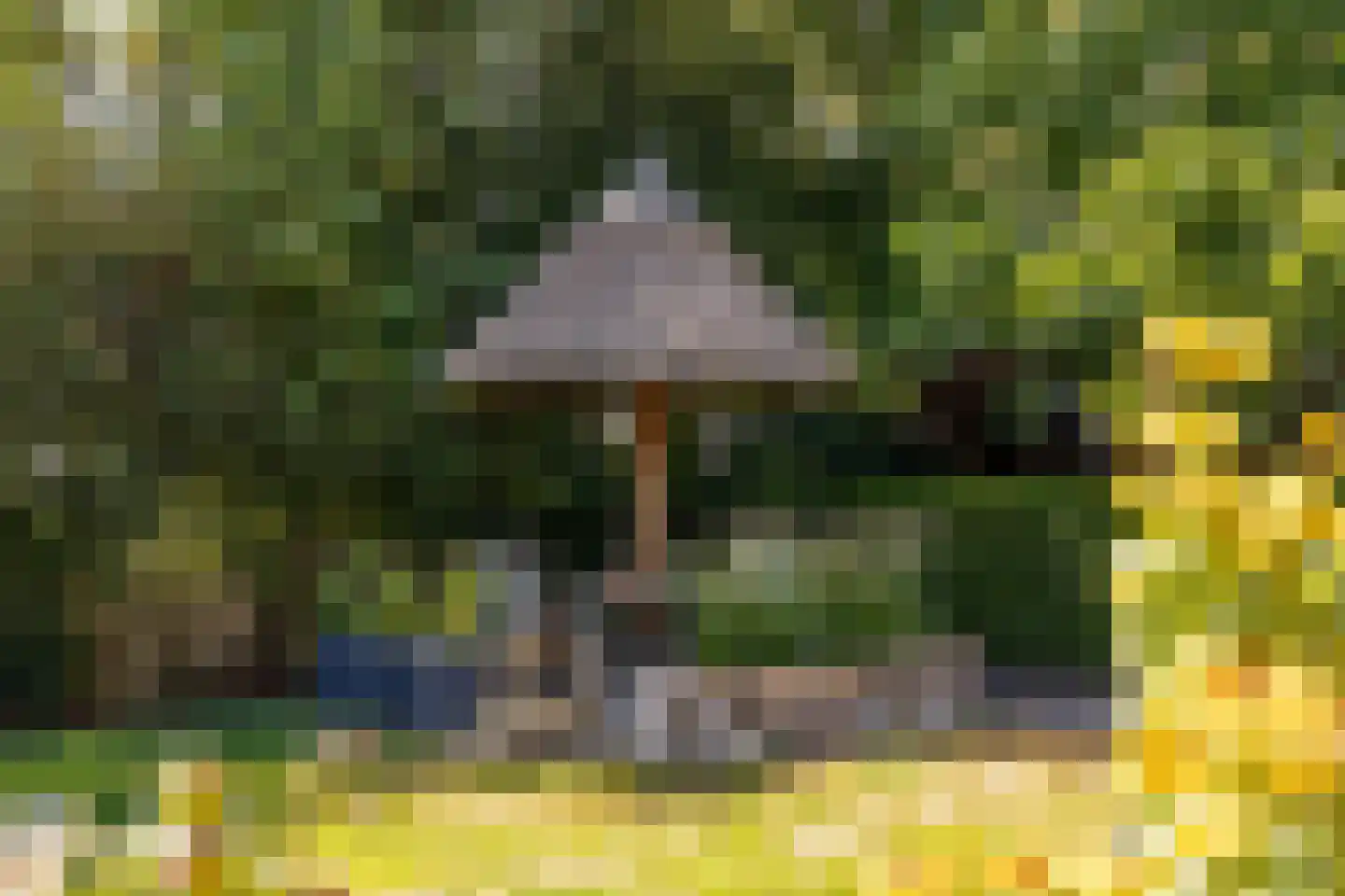 't Jaagpad 14 Veeningen thumbnail 55