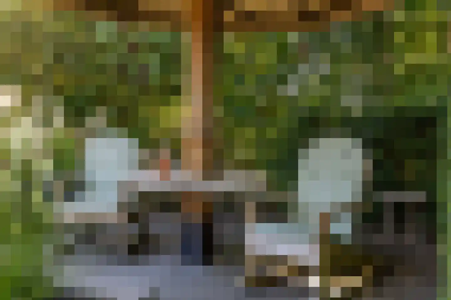 't Jaagpad 14 Veeningen thumbnail 56