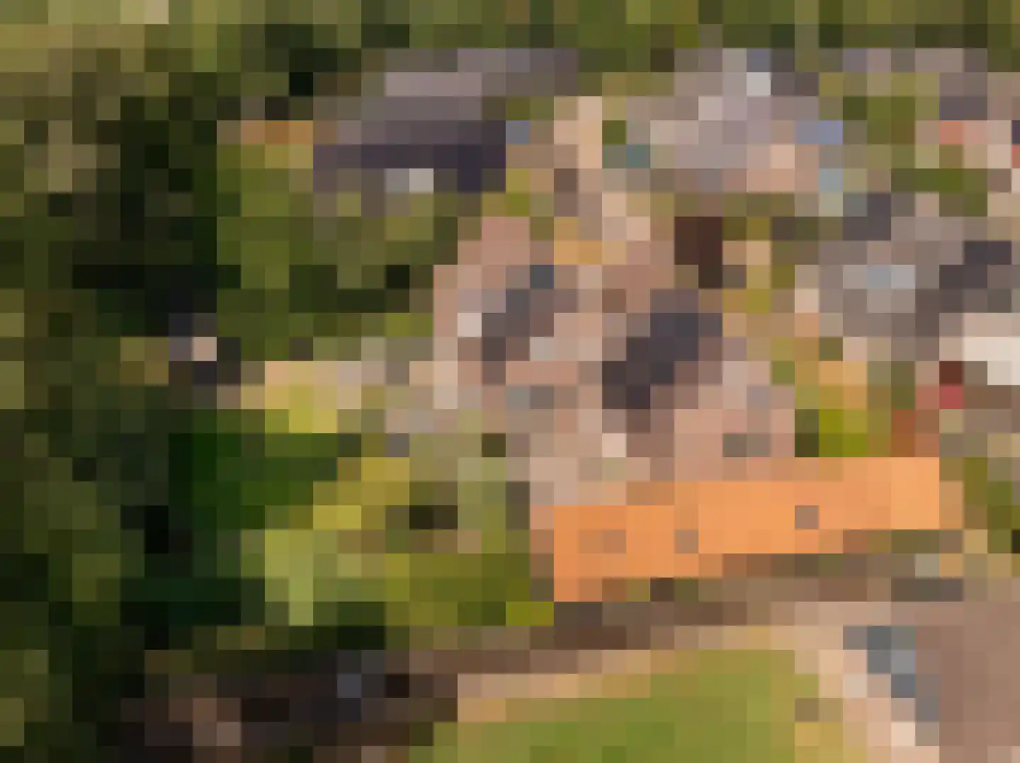 't Jaagpad 14 Veeningen thumbnail 6
