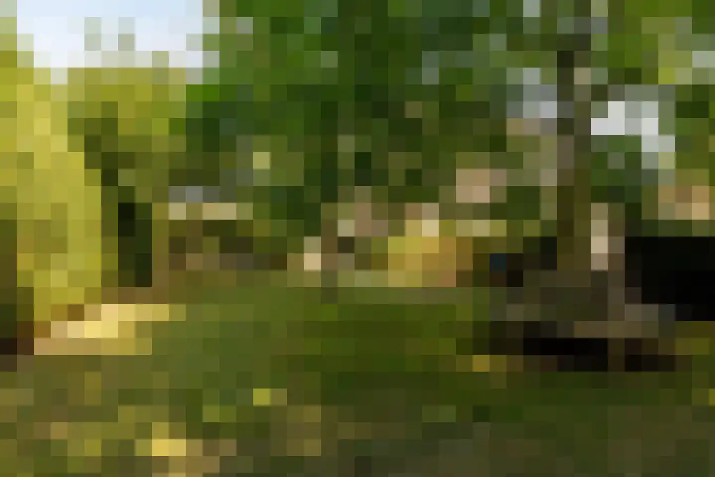 't Jaagpad 14 Veeningen thumbnail 62