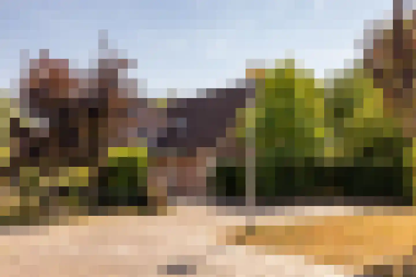 't Jaagpad 14 Veeningen thumbnail 63