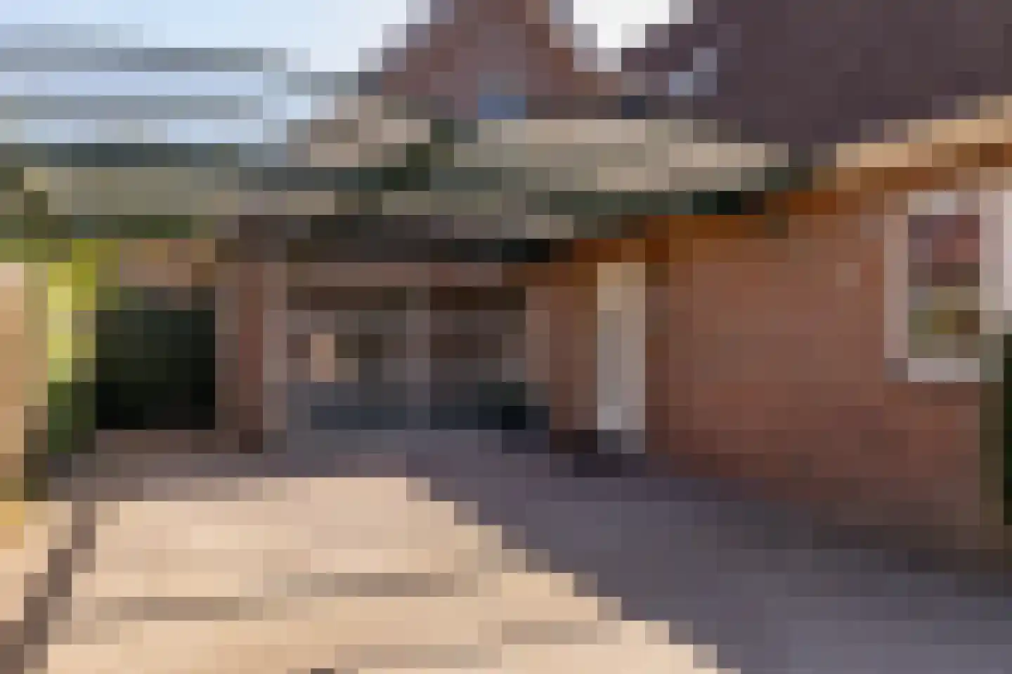't Jaagpad 14 Veeningen thumbnail 8