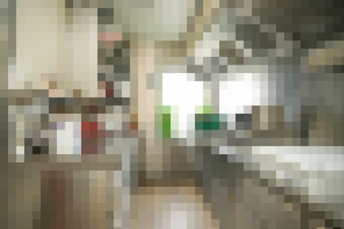 't Jannendorp 1 Achterveld thumbnail 16