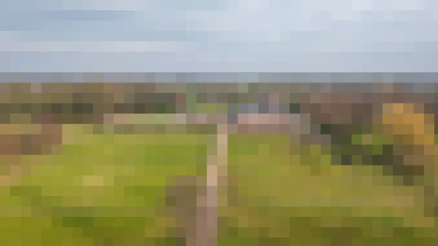 't Jannendorp 1 Achterveld foto 2