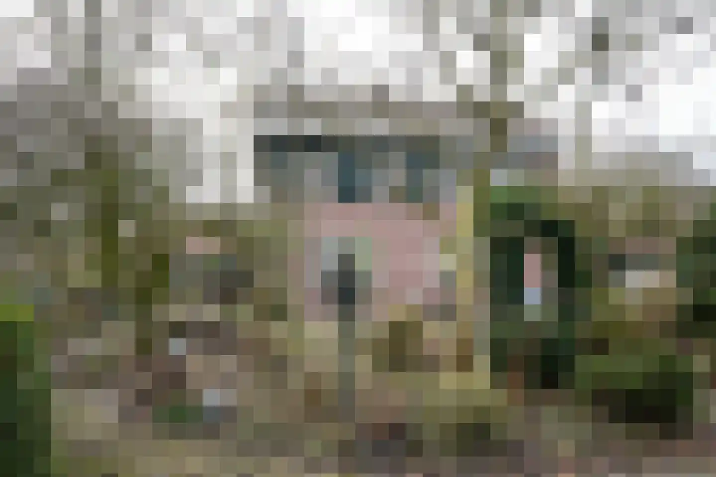 't Jannendorp 1 Achterveld thumbnail 4
