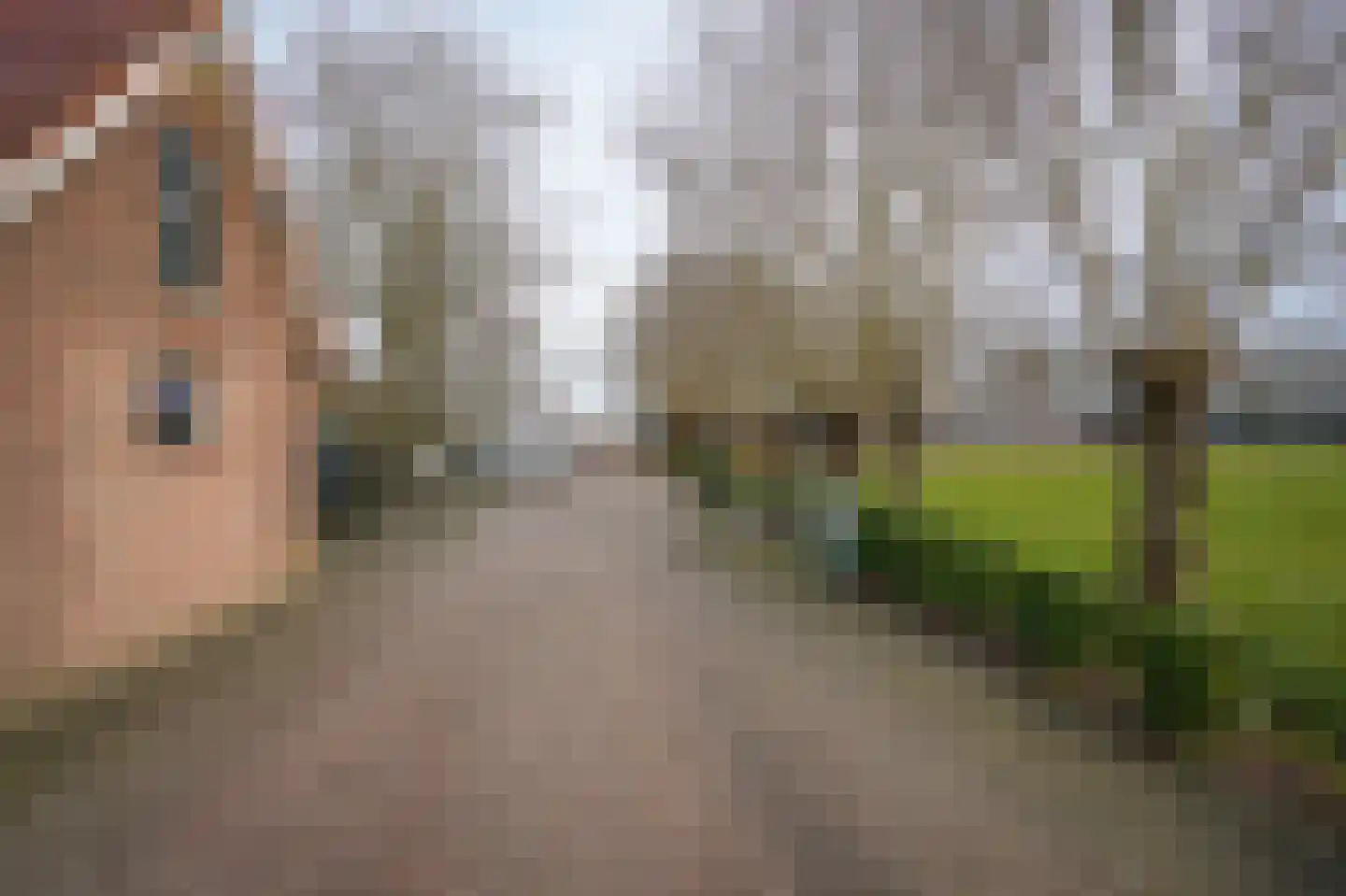 't Jannendorp 1 Achterveld thumbnail 42