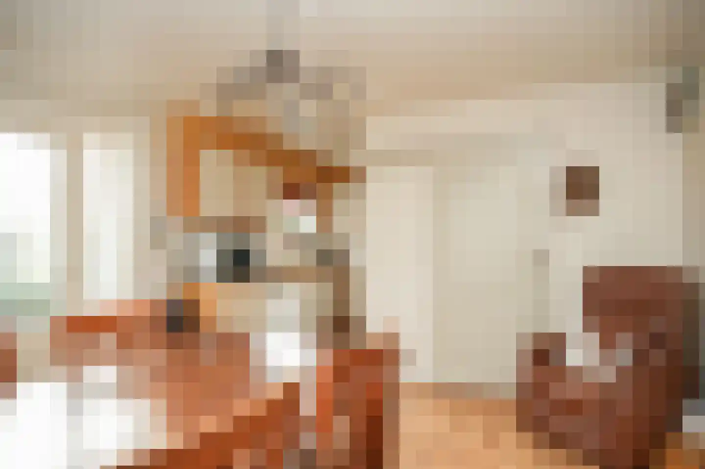 't Jannendorp 1 Achterveld thumbnail 47