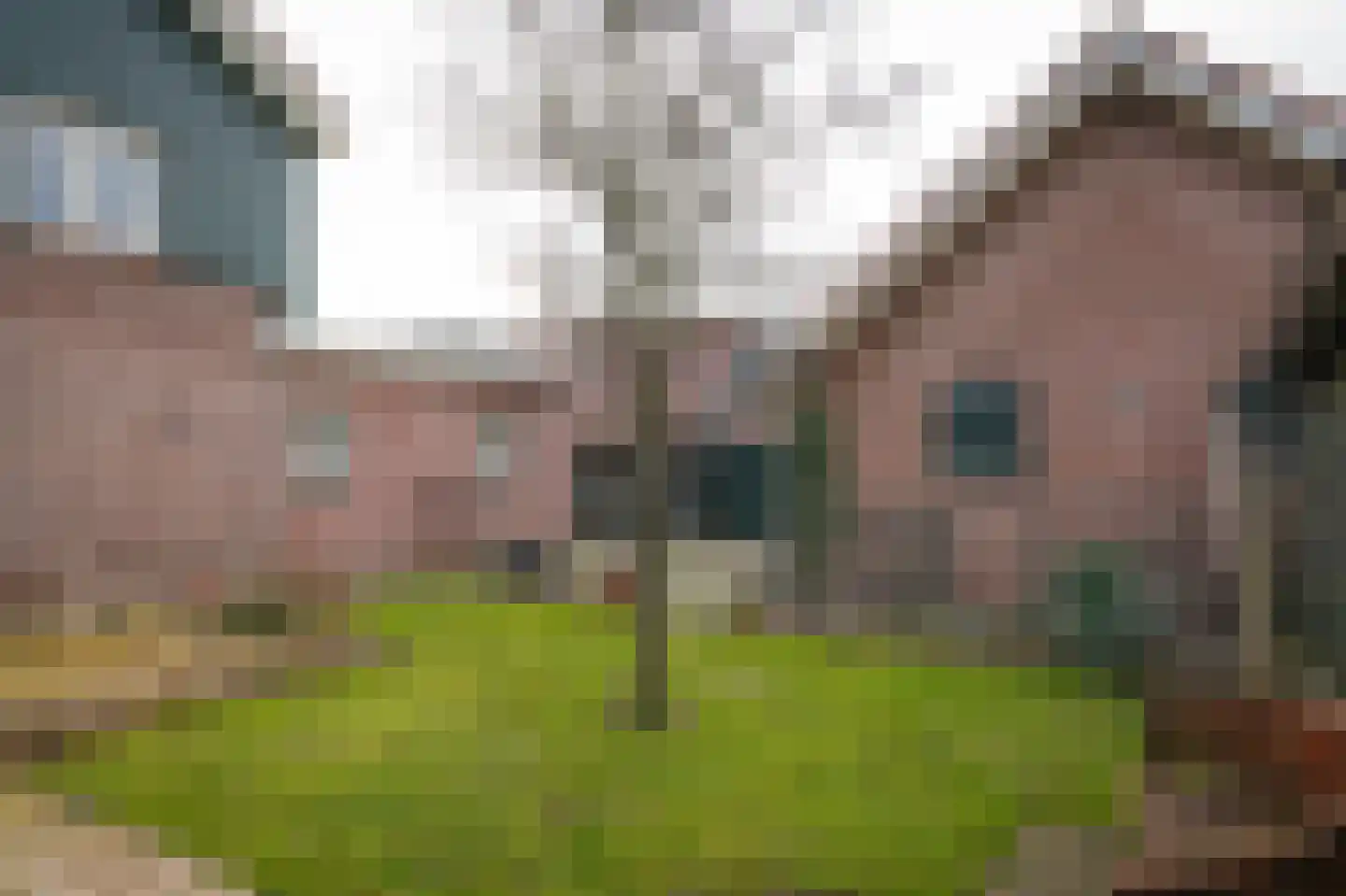 't Jannendorp 1 Achterveld thumbnail 61