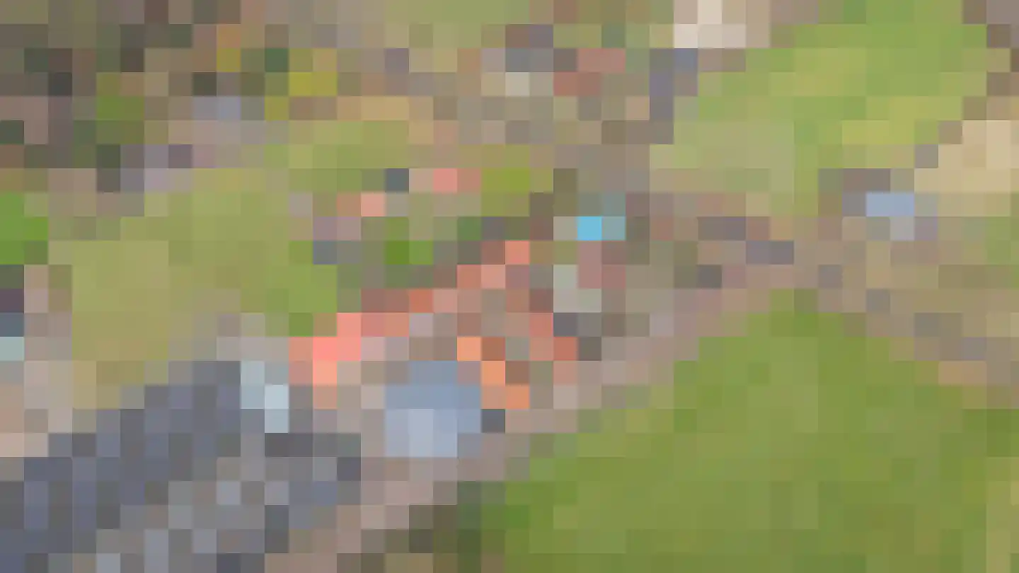 't Jannendorp 1 Achterveld thumbnail 64