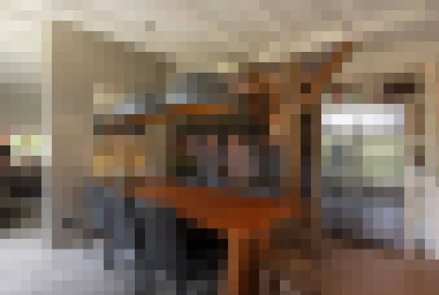't Jannendorp 8 Achterveld thumbnail 13