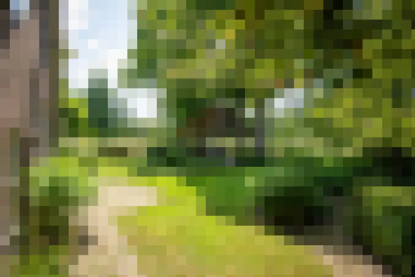 't Jannendorp 8 Achterveld thumbnail 27