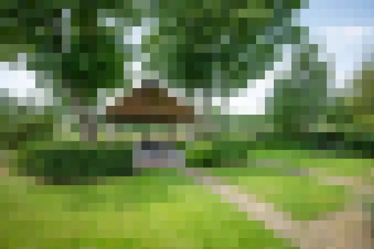't Jannendorp 8 Achterveld thumbnail 28